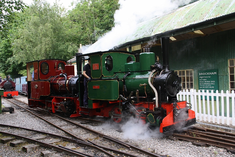 2016-07-120006.JPG - They cross over to take water.